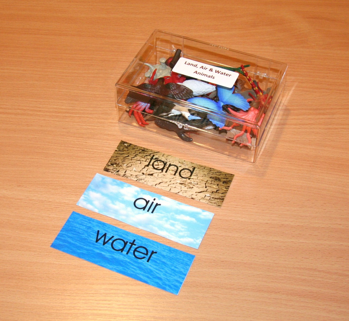 Land, Air & Water Animals | E&O Montessori