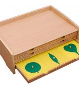 Botany Cabinet Control Chart | E&O Montessori