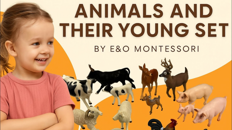 Embedded thumbnail for Language Enrichment Through Real-World Objects: How Montessori Supports Verbal Development