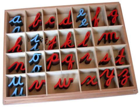 Small Movable Alphabet - Cursive Red & Blue 5/10 Count With Box | E&O ...