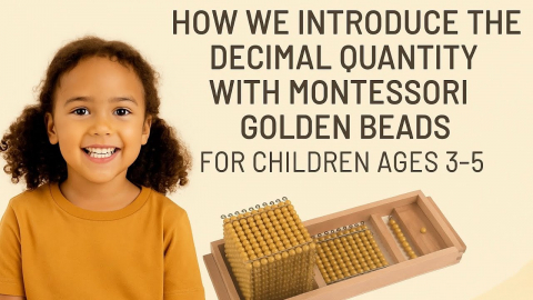 Embedded thumbnail for Introduction to Decimal Quantity