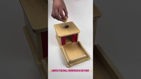 Embedded thumbnail for Starter Toddler Fine Motor Shelf (18–30 Months)