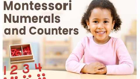 Embedded thumbnail for Montessori Numbers/Numerals and Counters
