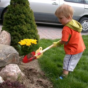 Yard & Garden
