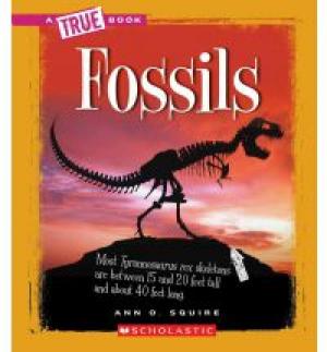 Earth Science Book - Fossils Montessori Materials
