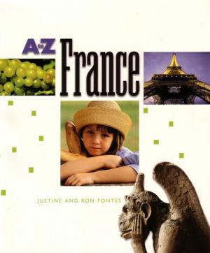 11.02.07 Countries - France E & O Montessori Materials