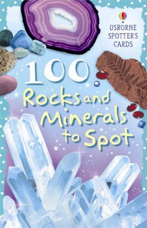 Cards - 100 Rocks & Minerals to Spot Montessori Materials