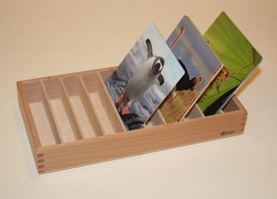 Ten Compartment Box for Classified Cards