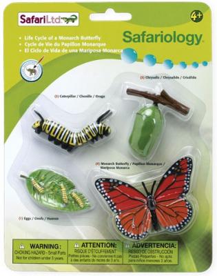 Life Cycle of a Monarch Butterfly - 4 Realistic Models