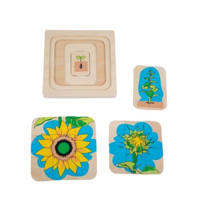 Growth and Layer Puzzle –Sunflower-E&O Montessori-www.momtessorimaterials.com