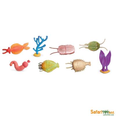 Cambrian Life - Safari Tubes