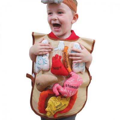 My Body Activity Apron with 3D Organs