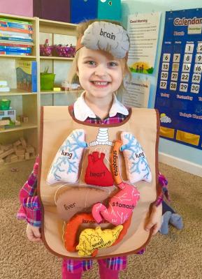 My Body Activity Apron with 3D Organs