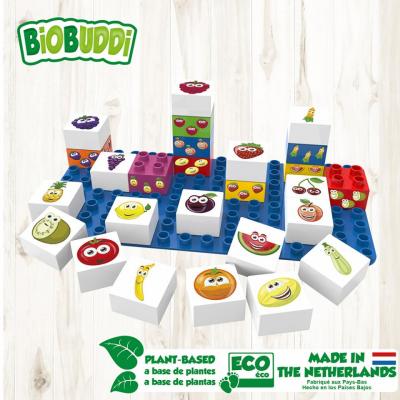 Learning Fruits & Vegetables Building Blocks Set 