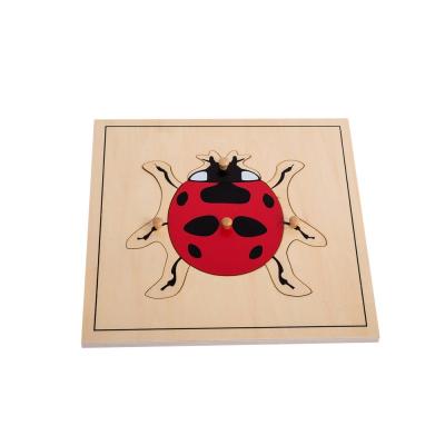 Ladybug Puzzle