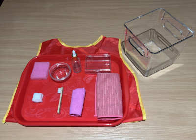 Silver Polishing Activity