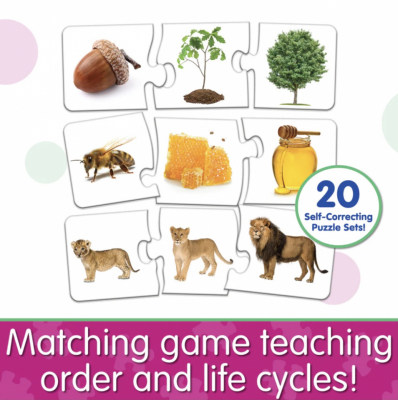 20-piece sequencing puzzle set with life cycles and daily routine steps for Montessori learning
