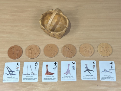 Set of six wooden bird track discs matched with cards showing bird feet and names, including owl, duck, turkey, and more. Handmade wicker basket included