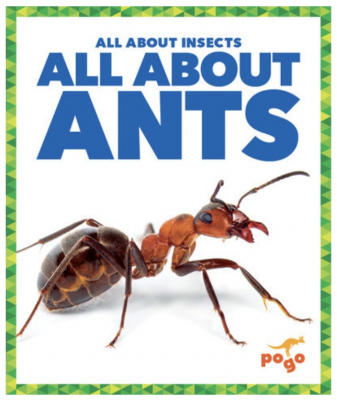 All About Insects – 6 Book Set
