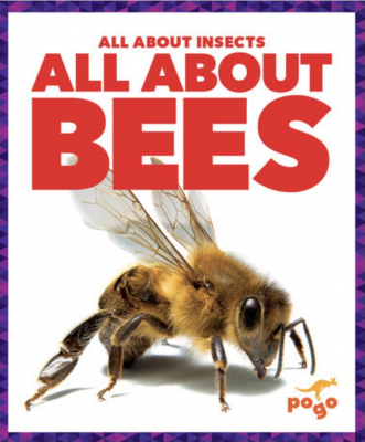 All About Insects – 6 Book Set
