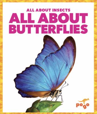 All About Insects – 6 Book Set