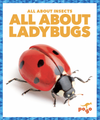 All About Insects 6 Book Set