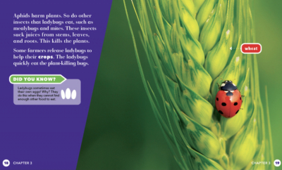 All About Insects – 6 Book Set