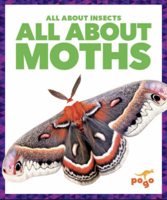 All About Insects 6 Book Set