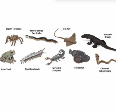 Realistic hand-painted venomous animal figurines for Montessori classroom and homeschool learning