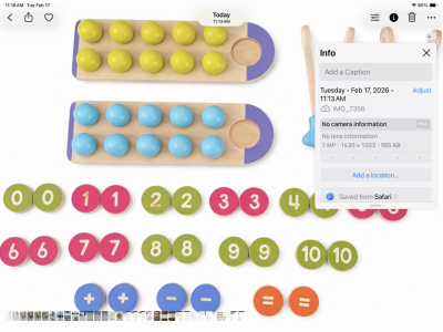 Count & Match Wooden Set