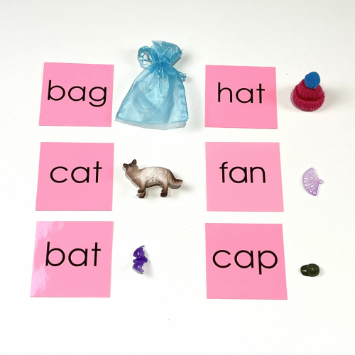Clear Plastic Boxes with Objects and Pink Word Cards By E&O Montessori 