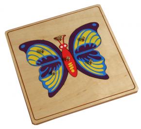 Download Growth And Layer Puzzle Butterfly E O Montessori