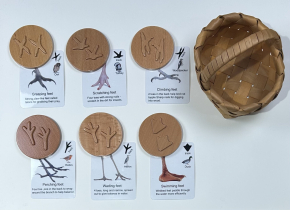 Set of six wooden bird track discs matched with cards showing bird feet and names, including owl, duck, turkey, and more. Handmade wicker basket included