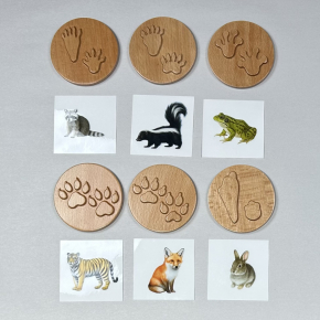 Animal track stamps matched with illustrated cards of raccoon, skunk, frog, tiger, fox, and rabbit
