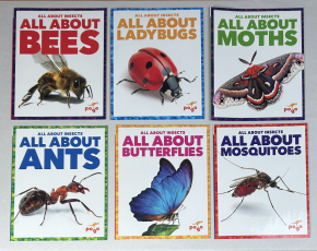 All About Insects 6 Book Set