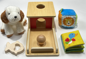 Montessori Baby Discovery Set (6–12 months)