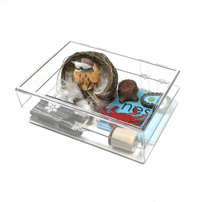Montessori Phonetic Object Box Two with Blue Cards