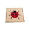 Ladybug Puzzle