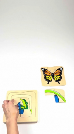 Embedded thumbnail for Butterfly Life Cycle Puzzle – Montessori Wooden Layer Puzzle