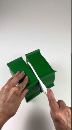 Embedded thumbnail for Soft Foam Cross-Section Plant Cell Model