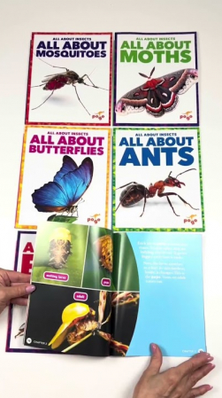 Embedded thumbnail for All About Insects – 6 Book Set