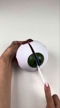 Embedded thumbnail for Cross-Section Eye Model